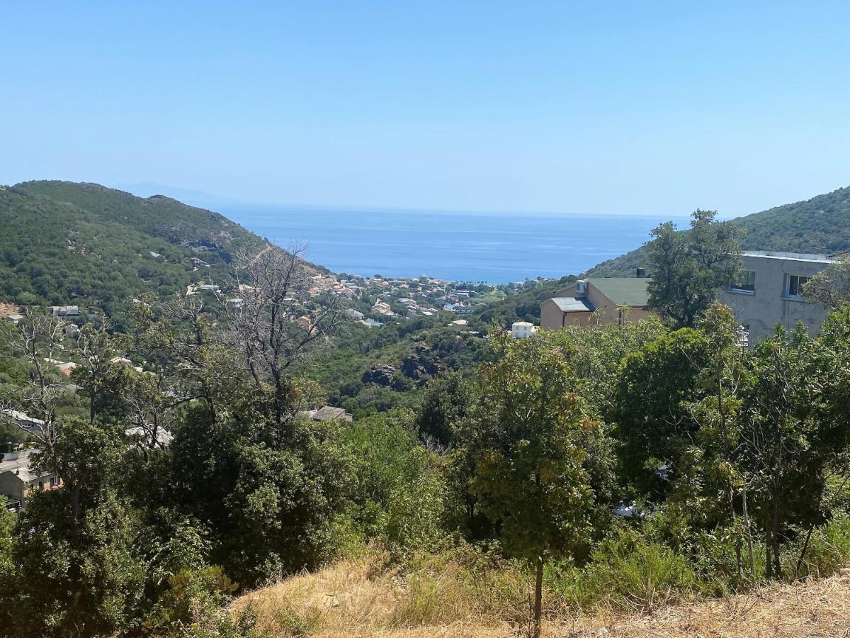 U Cavallu - Luxe Entre Mer Et Montagne Santa-Maria-di-Lota Экстерьер фото